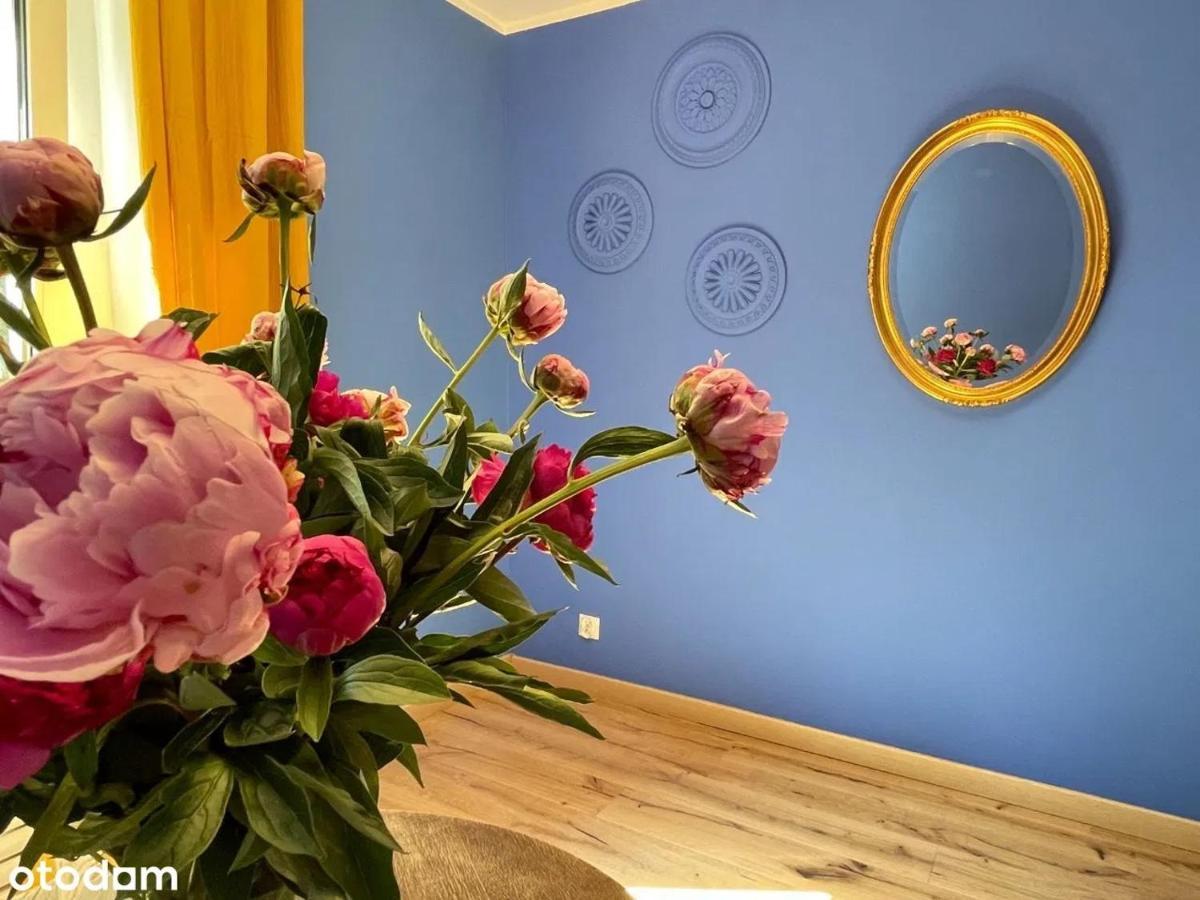 Apartament Kraszewskiego - Retro, Blisko Starowki, Kolo Parku, Ogrod Dla Gosci, Rowery Free Stary Toruń 외부 사진