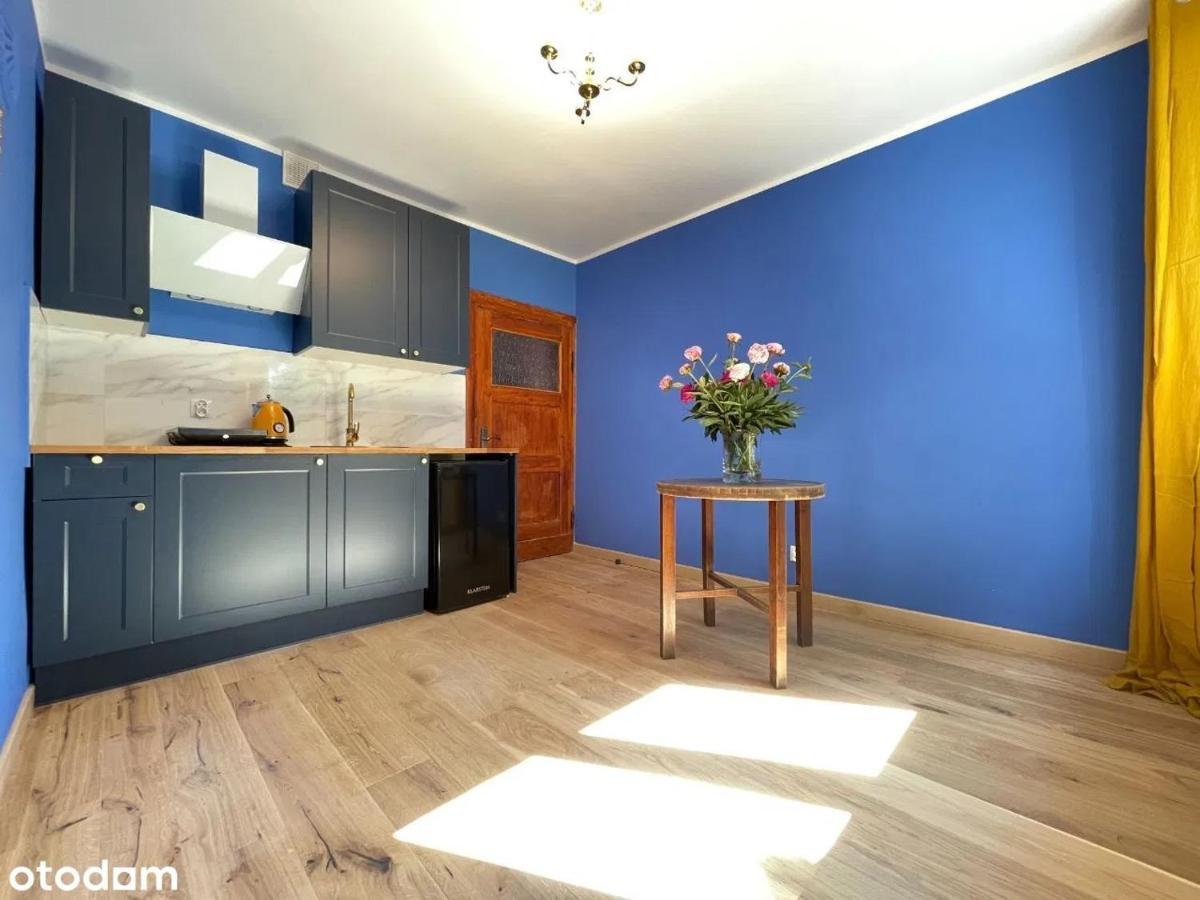 Apartament Kraszewskiego - Retro, Blisko Starowki, Kolo Parku, Ogrod Dla Gosci, Rowery Free Stary Toruń 외부 사진